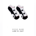 Short Socks ( Lee's cat )